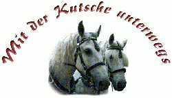 Firmengrafik Branchenverzeichnis