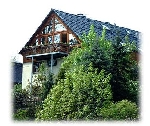 Firmengrafik Branchenverzeichnis
