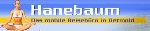 Firmengrafik Branchenverzeichnis