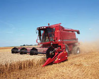 Firmengrafik Branchenverzeichnis