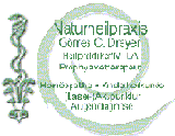 Firmengrafik Branchenverzeichnis
