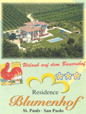 Firmengrafik Branchenverzeichnis