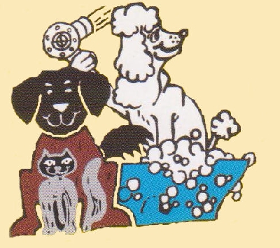 Firmengrafik Branchenverzeichnis