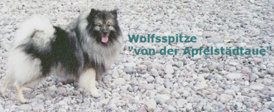 Firmengrafik Branchenverzeichnis