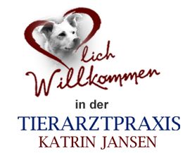 Firmengrafik Branchenverzeichnis
