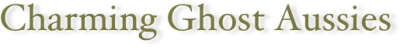 Firmengrafik Branchenverzeichnis