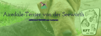 Firmengrafik Branchenverzeichnis