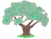 Firmengrafik Branchenverzeichnis