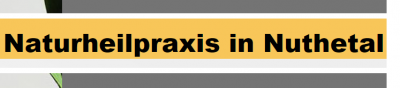 Firmengrafik Branchenverzeichnis