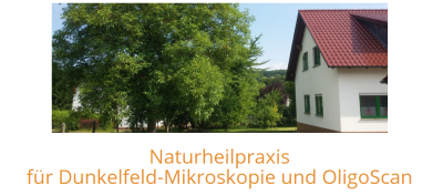 Firmengrafik Branchenverzeichnis