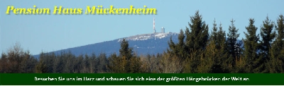 Firmengrafik Branchenverzeichnis