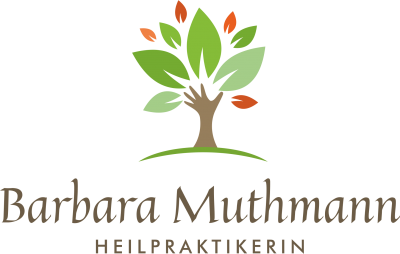 Firmengrafik Branchenverzeichnis