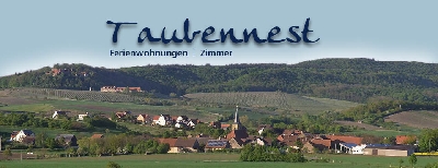 Firmengrafik Branchenverzeichnis
