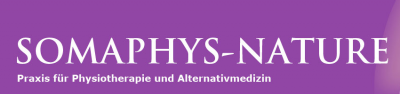 Firmengrafik Branchenverzeichnis