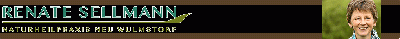 Firmengrafik Branchenverzeichnis