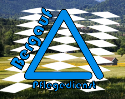Firmengrafik Branchenverzeichnis