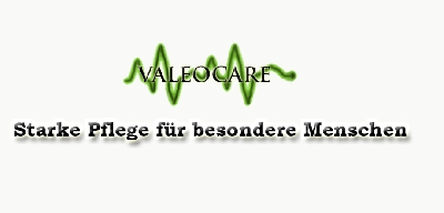 Firmengrafik Branchenverzeichnis