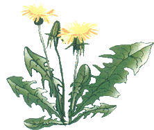 Firmengrafik Branchenverzeichnis