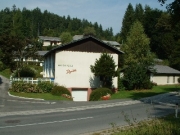 Firmengrafik Branchenverzeichnis