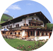 Firmengrafik Branchenverzeichnis