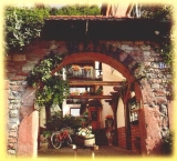 Firmengrafik Branchenverzeichnis