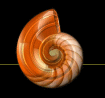 Firmengrafik Branchenverzeichnis
