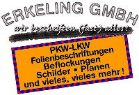 Firmengrafik Branchenverzeichnis