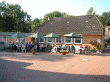 Firmengrafik Branchenverzeichnis