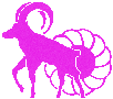 Firmengrafik Branchenverzeichnis