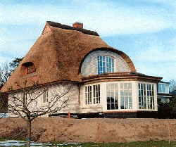 Firmengrafik Branchenverzeichnis