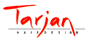 Firmengrafik Branchenverzeichnis