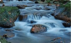 Firmengrafik Branchenverzeichnis