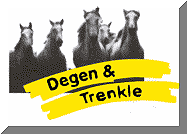 Firmengrafik Branchenverzeichnis