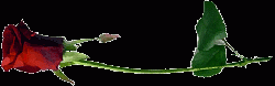Firmengrafik Branchenverzeichnis
